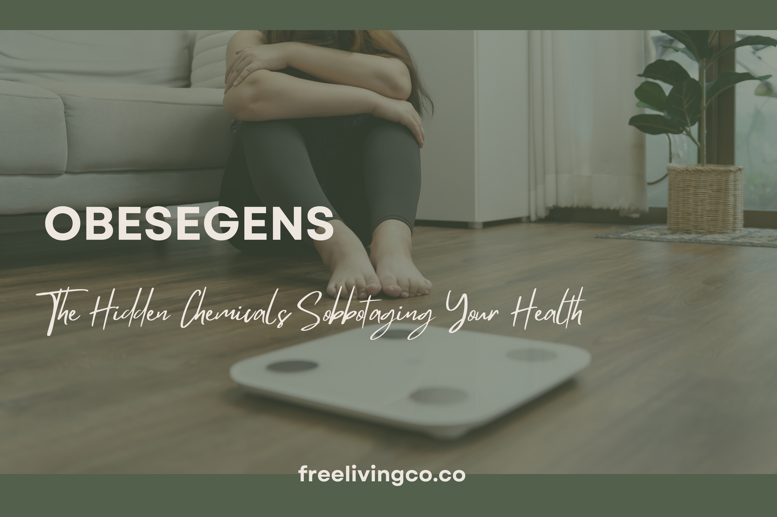 Obesogens: The Hidden Chemicals Sabotaging Your Health