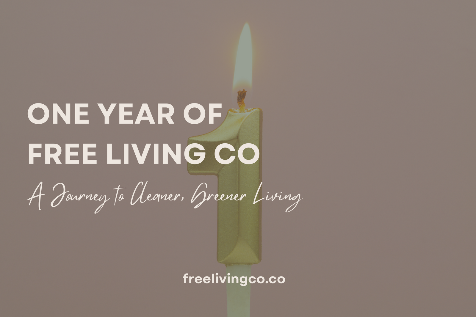 One Year of Free Living Co: A Journey to Cleaner, Greener Living