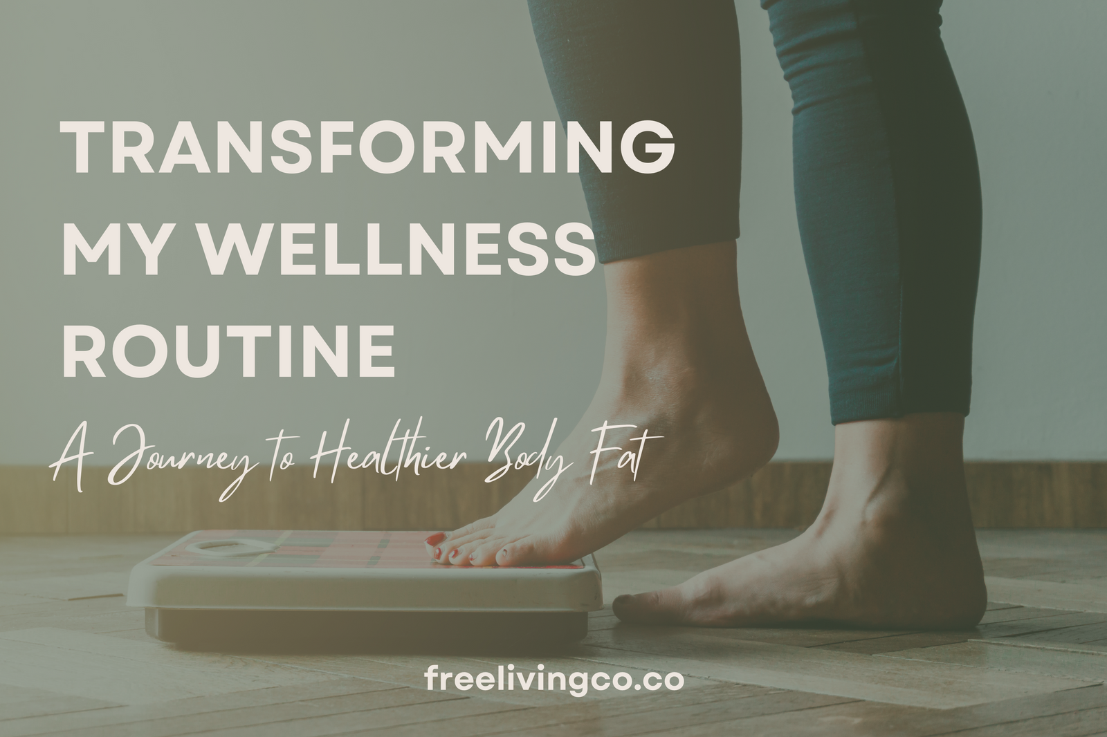 Transforming My Wellness Routine:  A Journey to Healthier Body Fat and Longevity