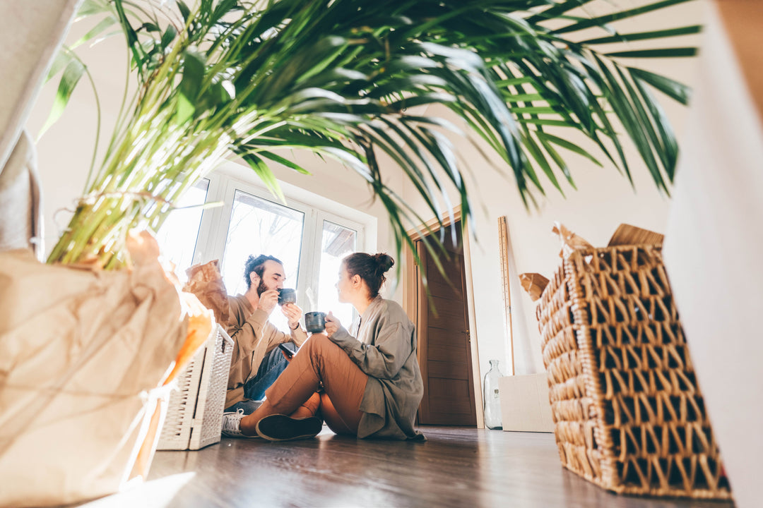 The Ultimate Guide to Creating a Natural Home Sanctuary
