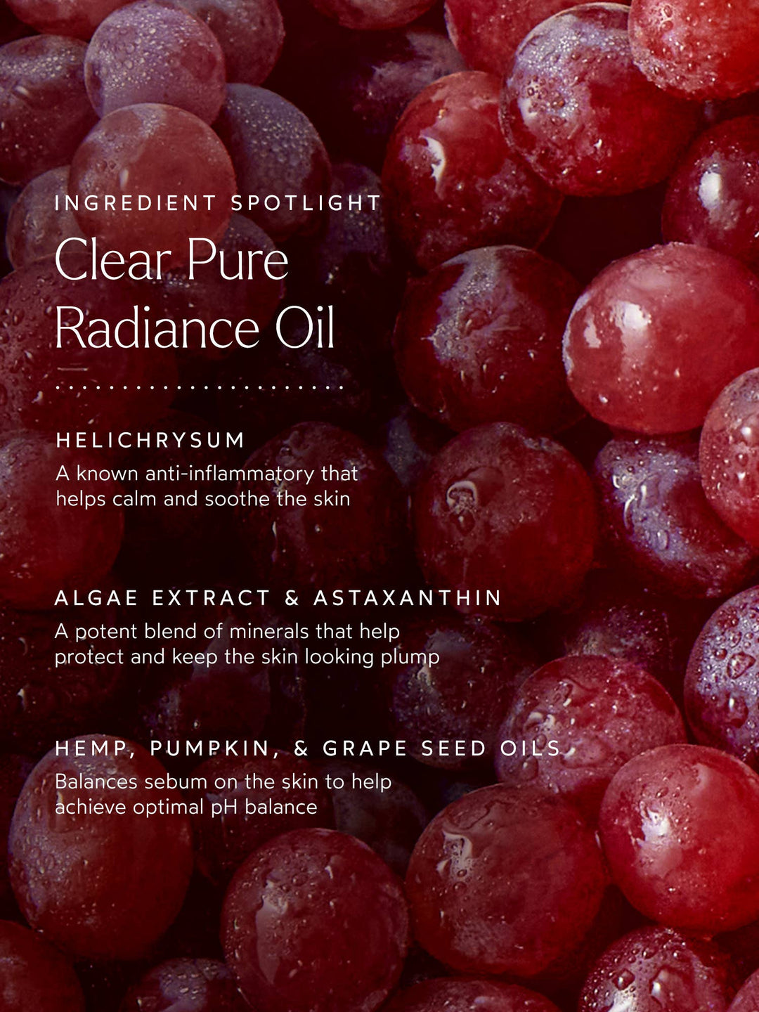 Clear - Pure Radiance Oil