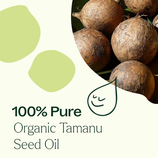 Organic Tamanu Carrier Oil 4 oz