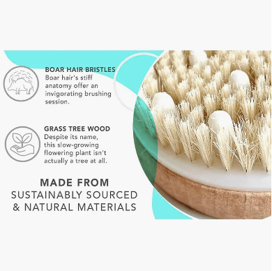 Dry Brushing Body Brush with Cellulite Massager - Free Living Co