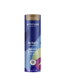 Leaves Bar Lip Balm - Free Living Co
