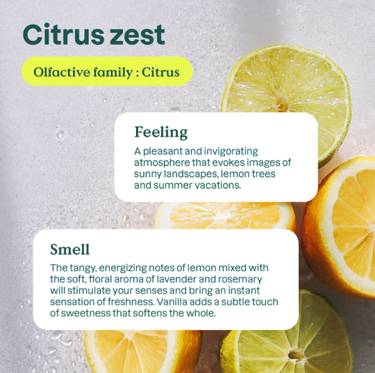 Nature+ - Dishwashing Liquid