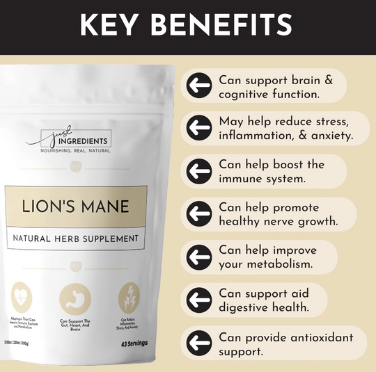 Just REAL Ingredients Lion's Mane