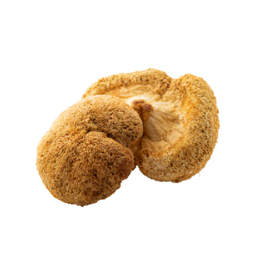 Just REAL Ingredients Lion's Mane