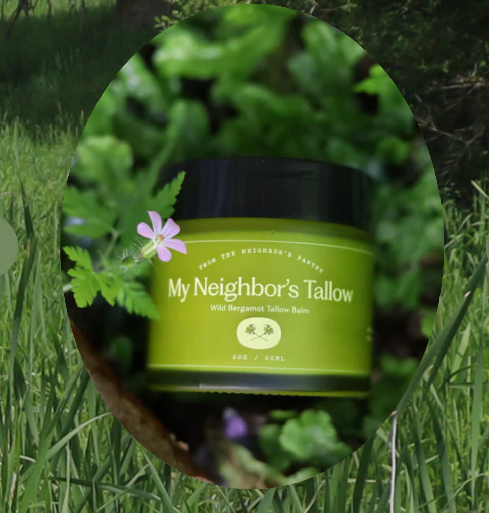 My Neighbor's Tallow Balm - Wild Bergamot
